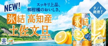 氷結®高知産土佐文旦_キリン