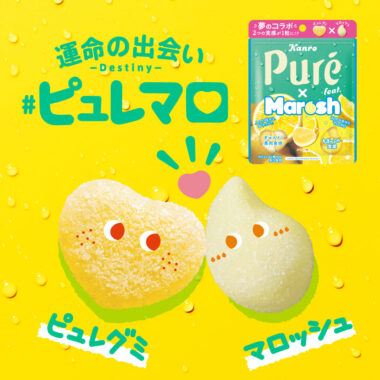 運命の出会い #ピュレマロ_カンロ