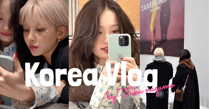 Korea Vlog_Visa