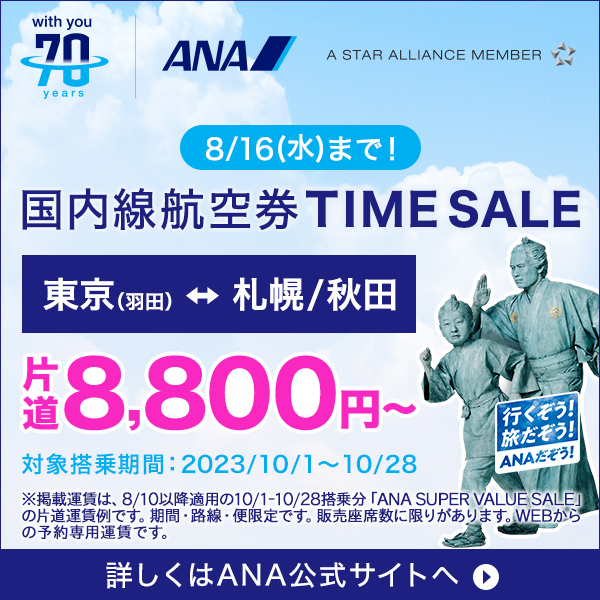 国内線航空券 TIME SALE_ANA