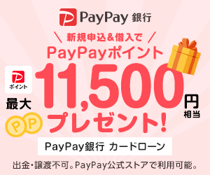新規申込&借入でPayPayポイントプレゼント!_PayPay銀行