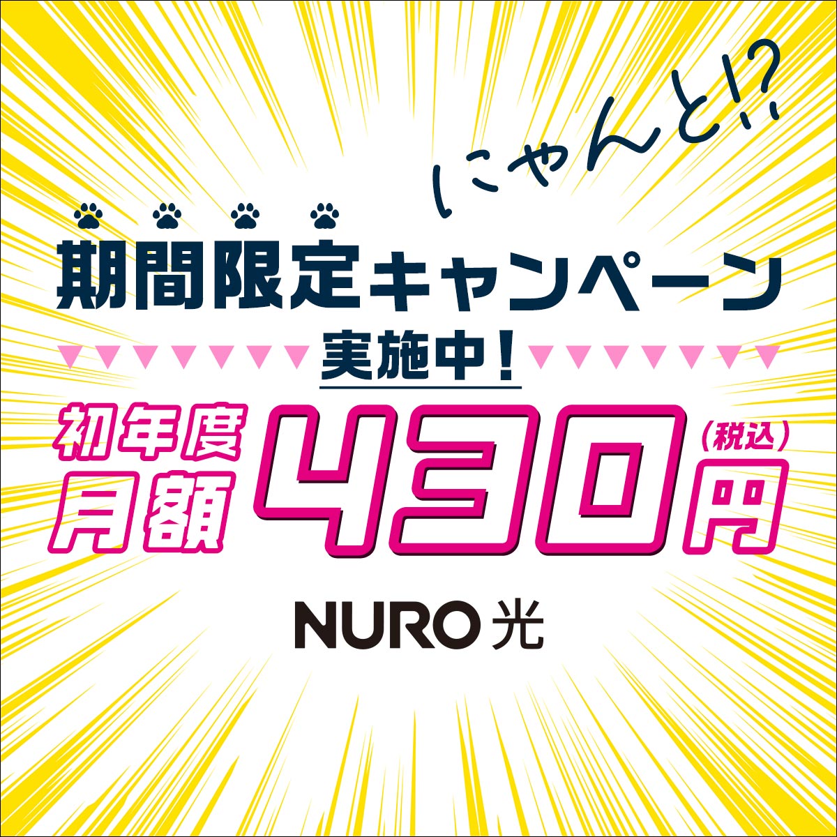 期間限定キャンペーン実施中!