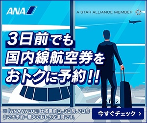 3日前でも国内線航空券をおトクに予約!!